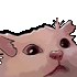 Emote #218046