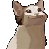 Emote #218377