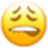 Emote #218863