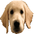 Emote #219016