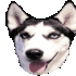 Emote #219022