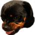 Emote #219296