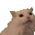 Emote #219699