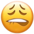 Emote #219771